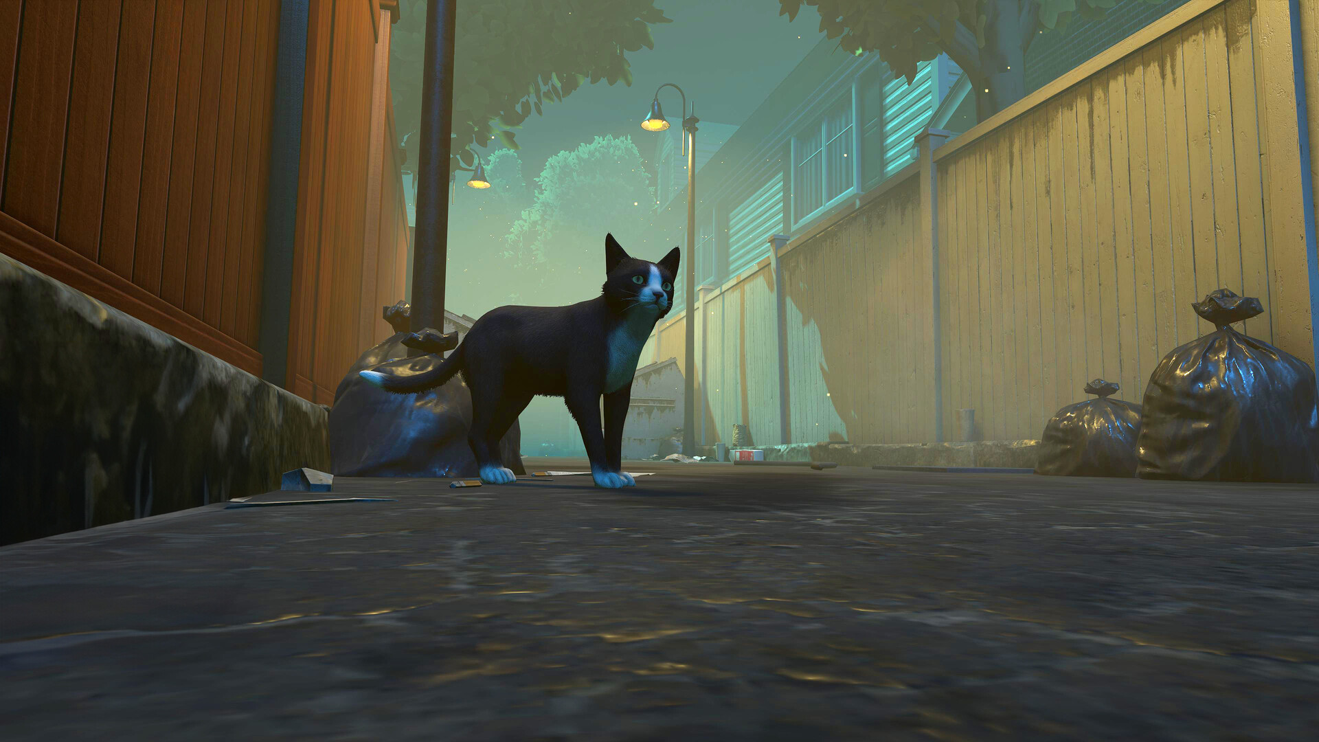 Why We Love Cat Games: The Rise of Feline-Focused Gaming