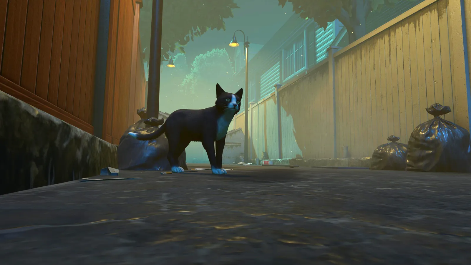 Why We Love Cat Games: The Rise of Feline-Focused Gaming