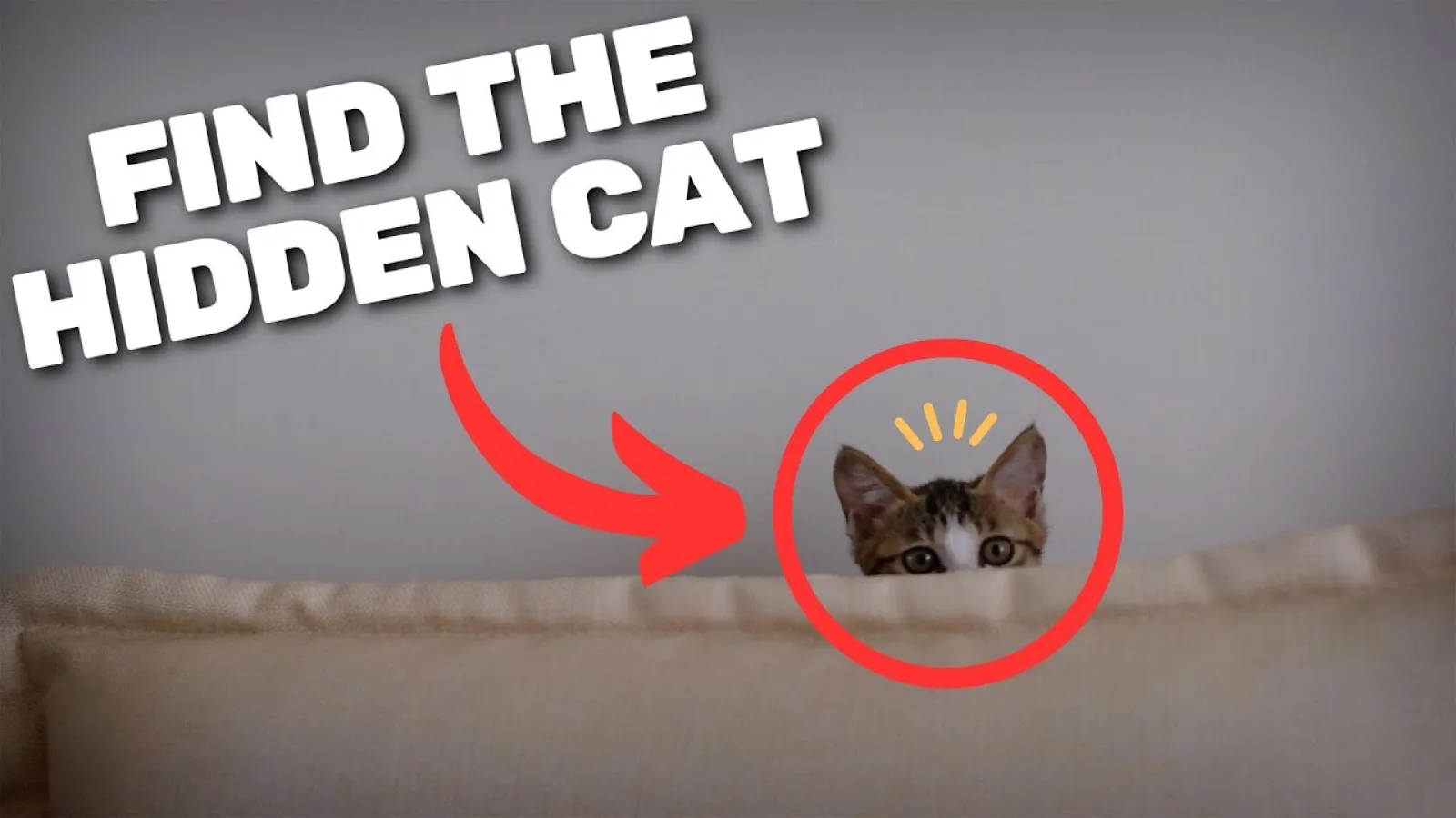 Hidden Cats - a series for cat lovers