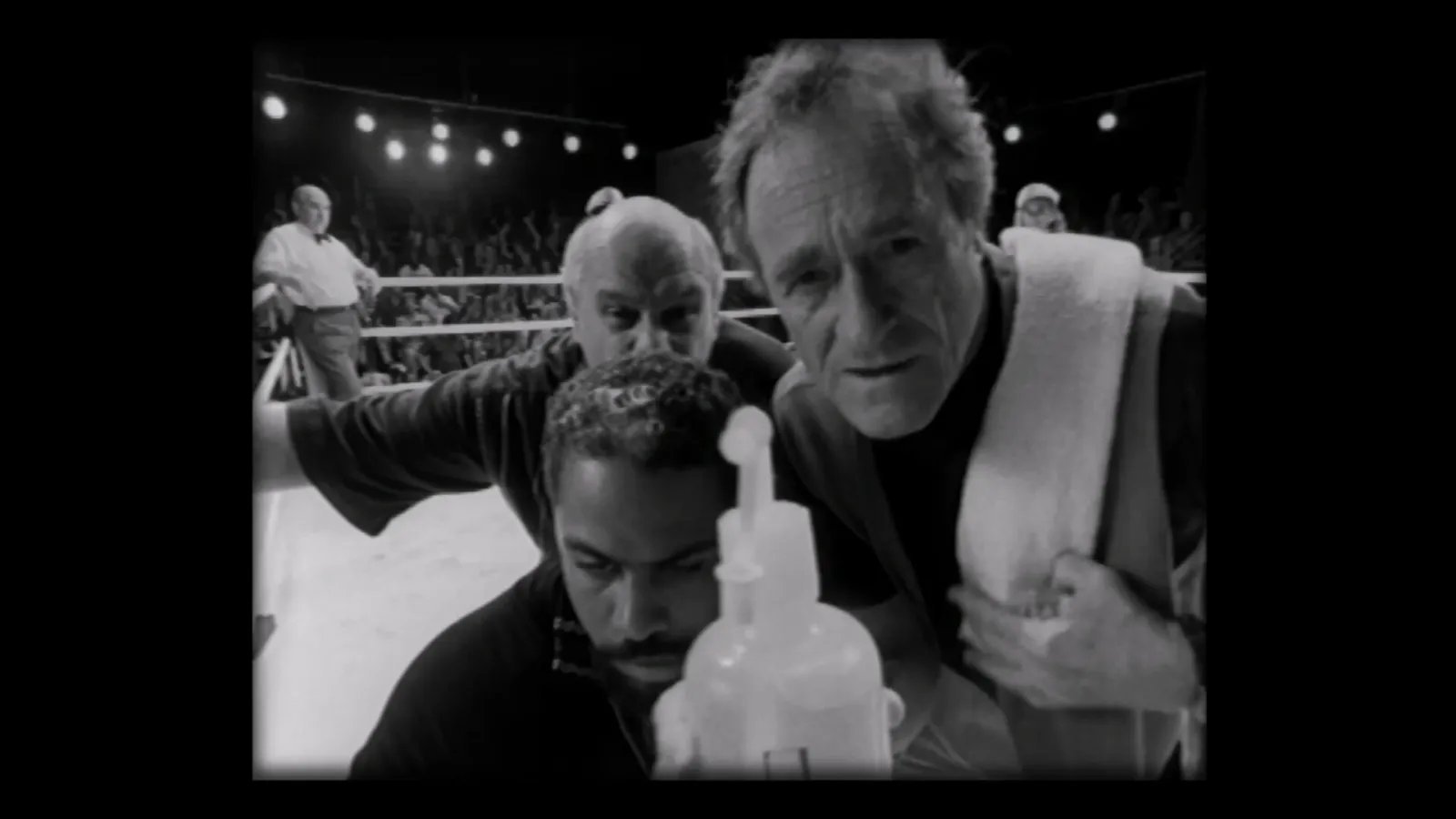 Prize Fighter Heavyweight Edition is coming out on February 20.