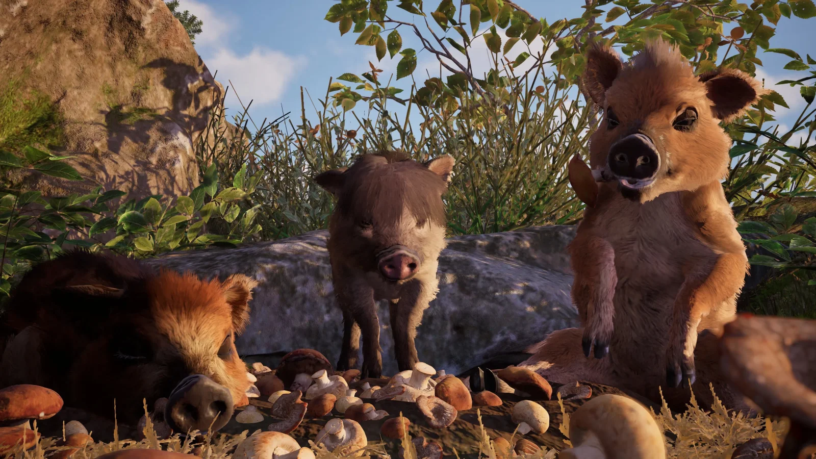 01KQF2TA62HY3YKRGXHF2YWCMK