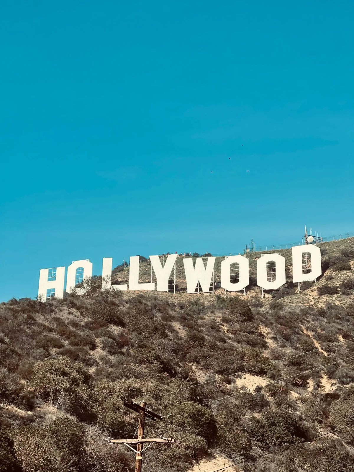 Od indie studija za igre do Hollywooda!