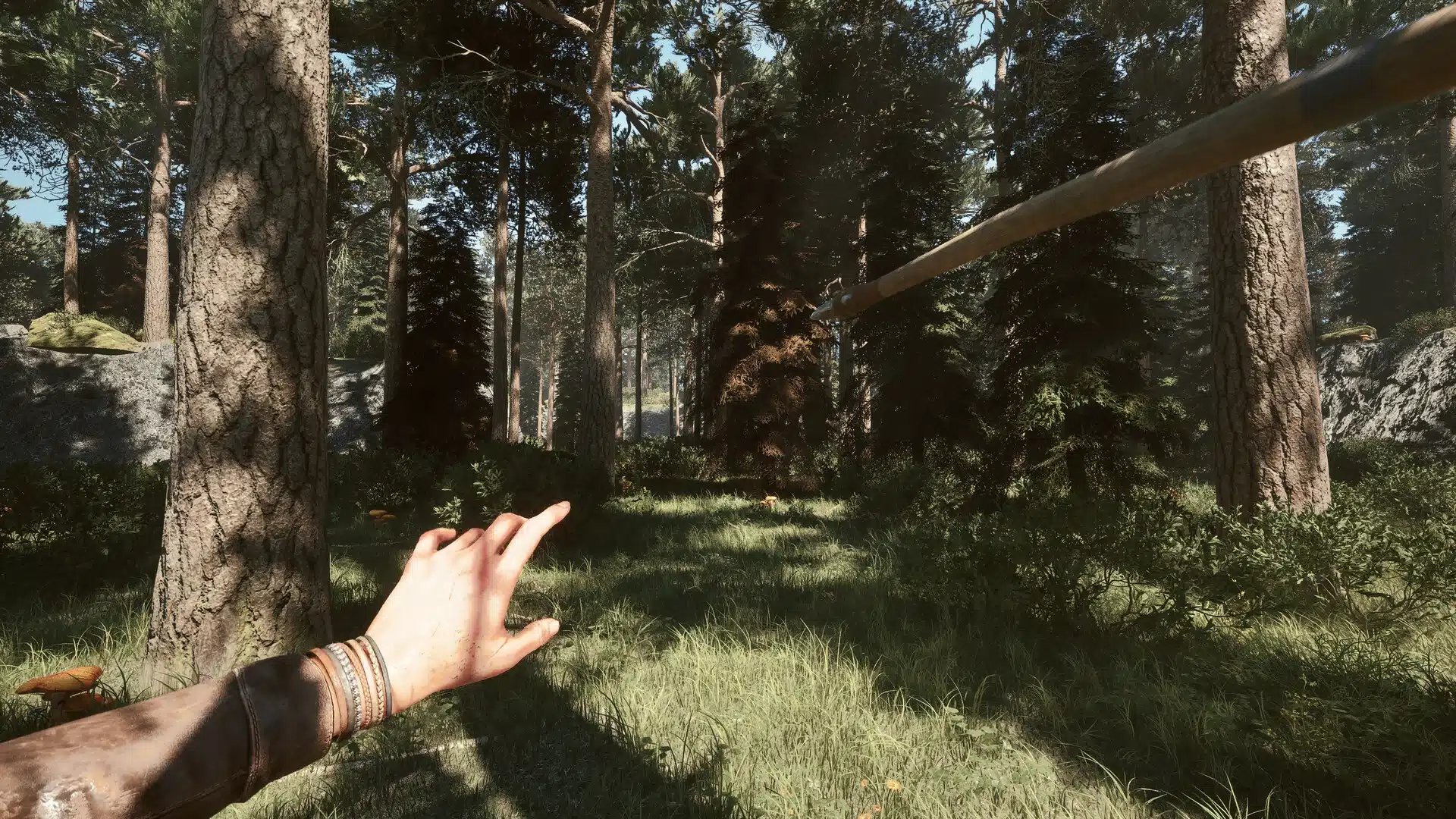 Održite harmoniju u prirodi