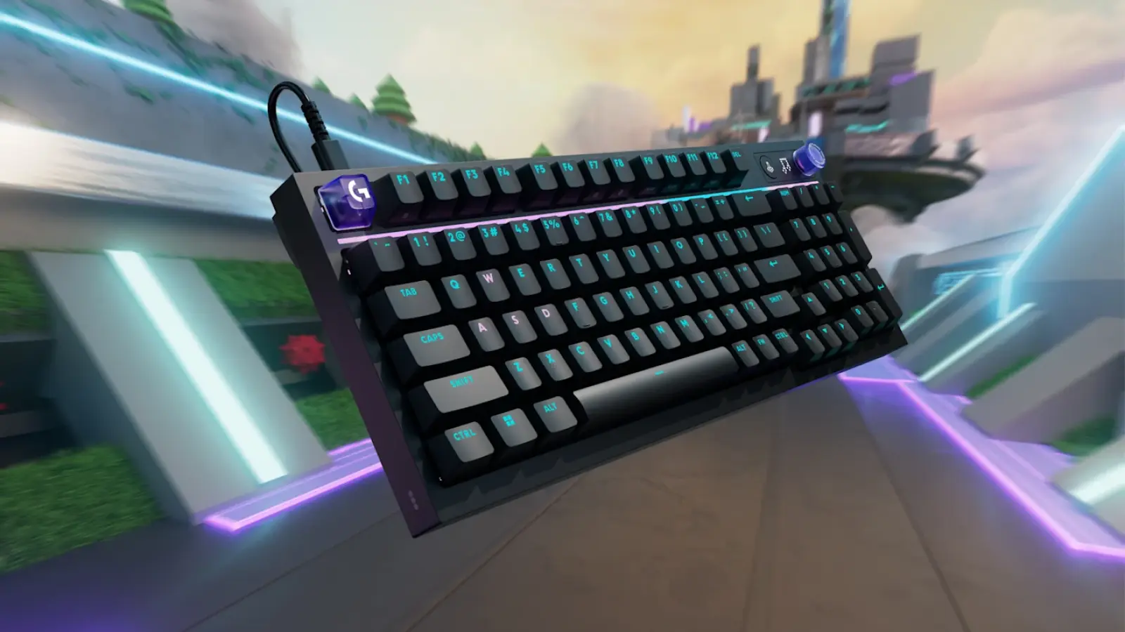 01KVDZGBPGXCJ6SHPWJNNZRKKZ