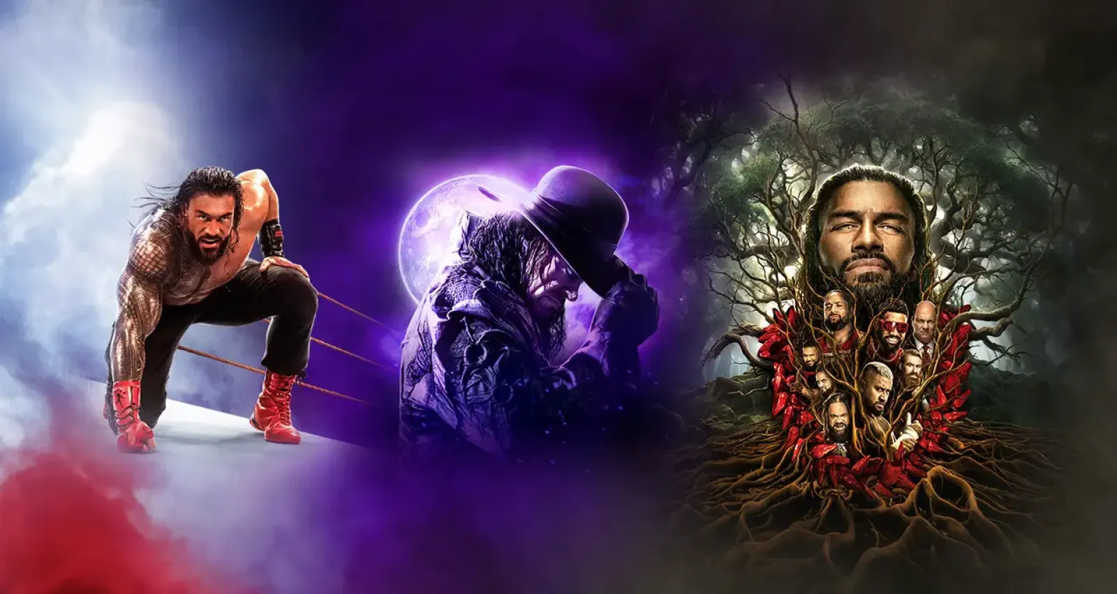 WWE 2K25 will have 300+ wrestlers