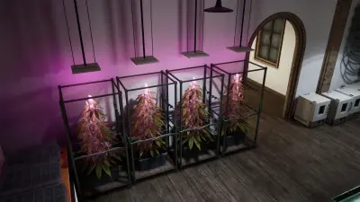 Drug Dealer Simulator 2
