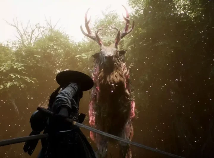 Beast of reincarnation